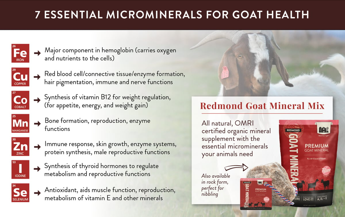 7 Microminerals goats need