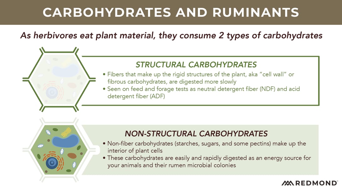 Types of carbohydrates that ruminant livestock need
