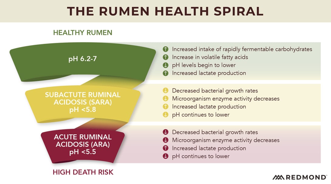 Stages of rumen acidosis