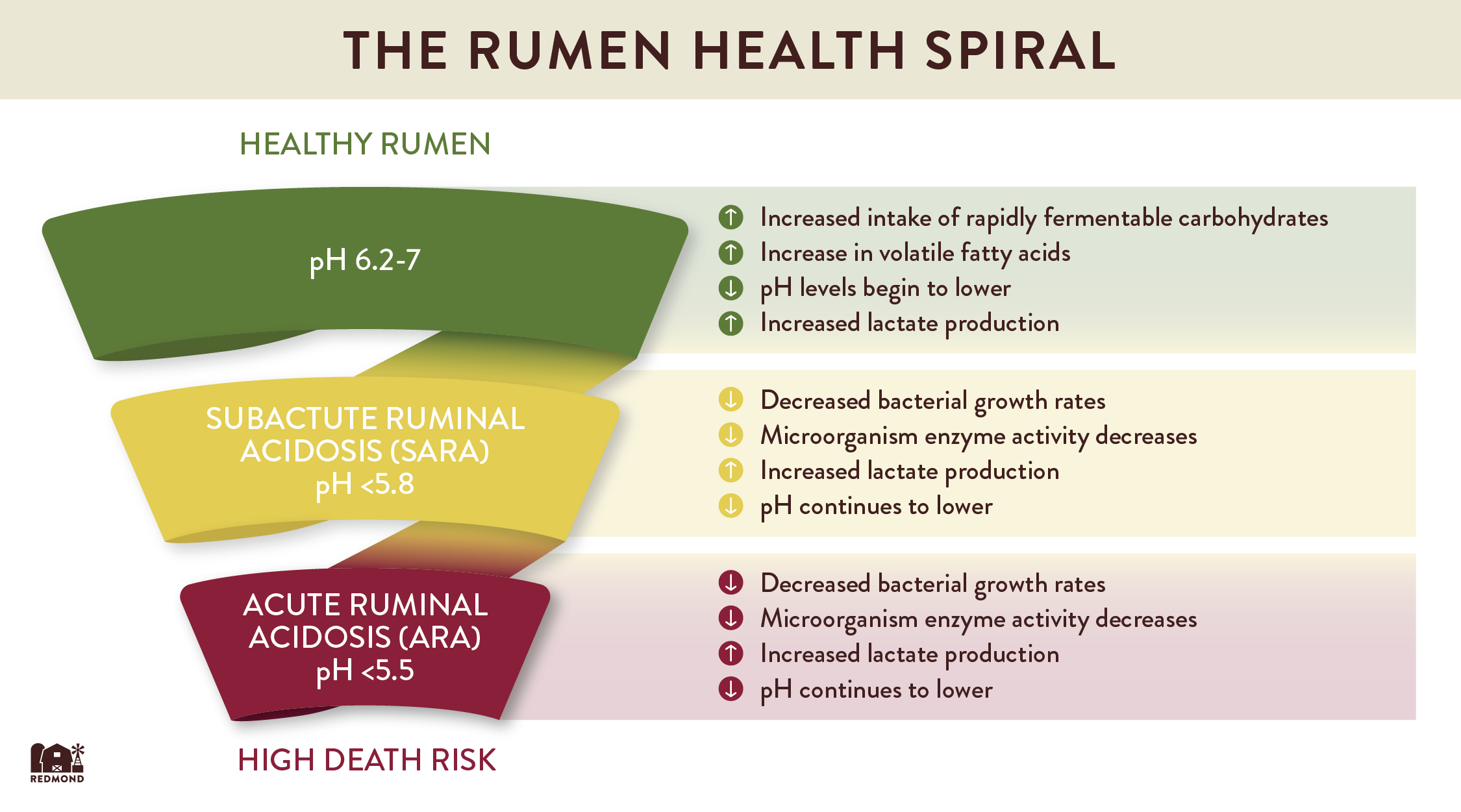 The rumen health spiral
