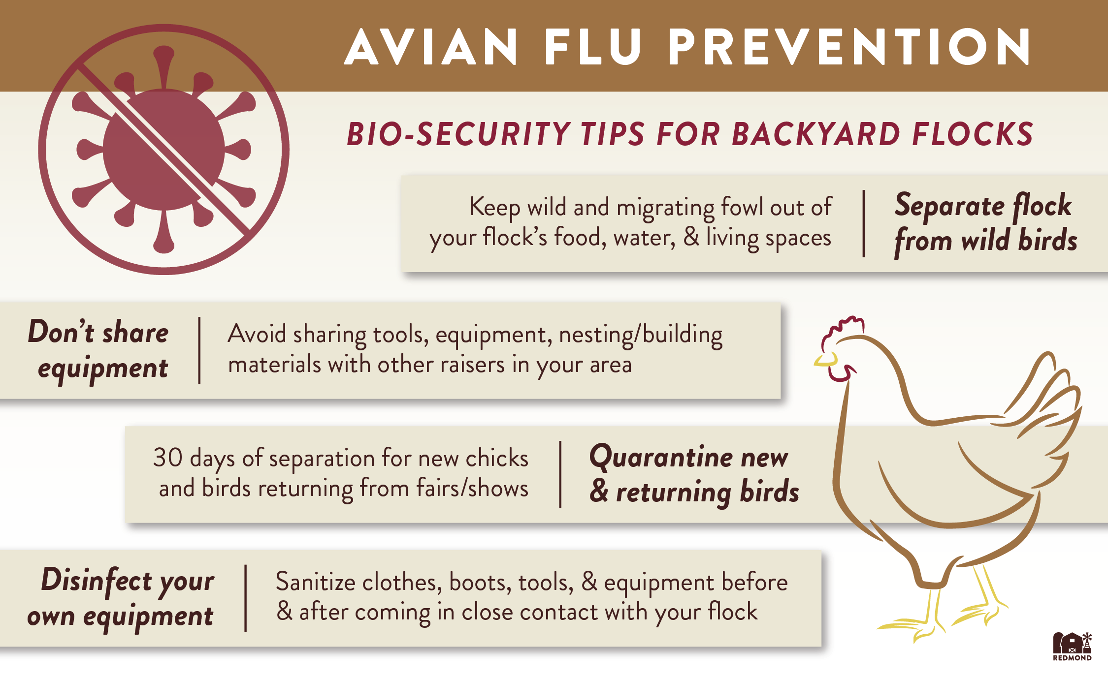 Avian Flu prevention bio-security tips for backyard flocks