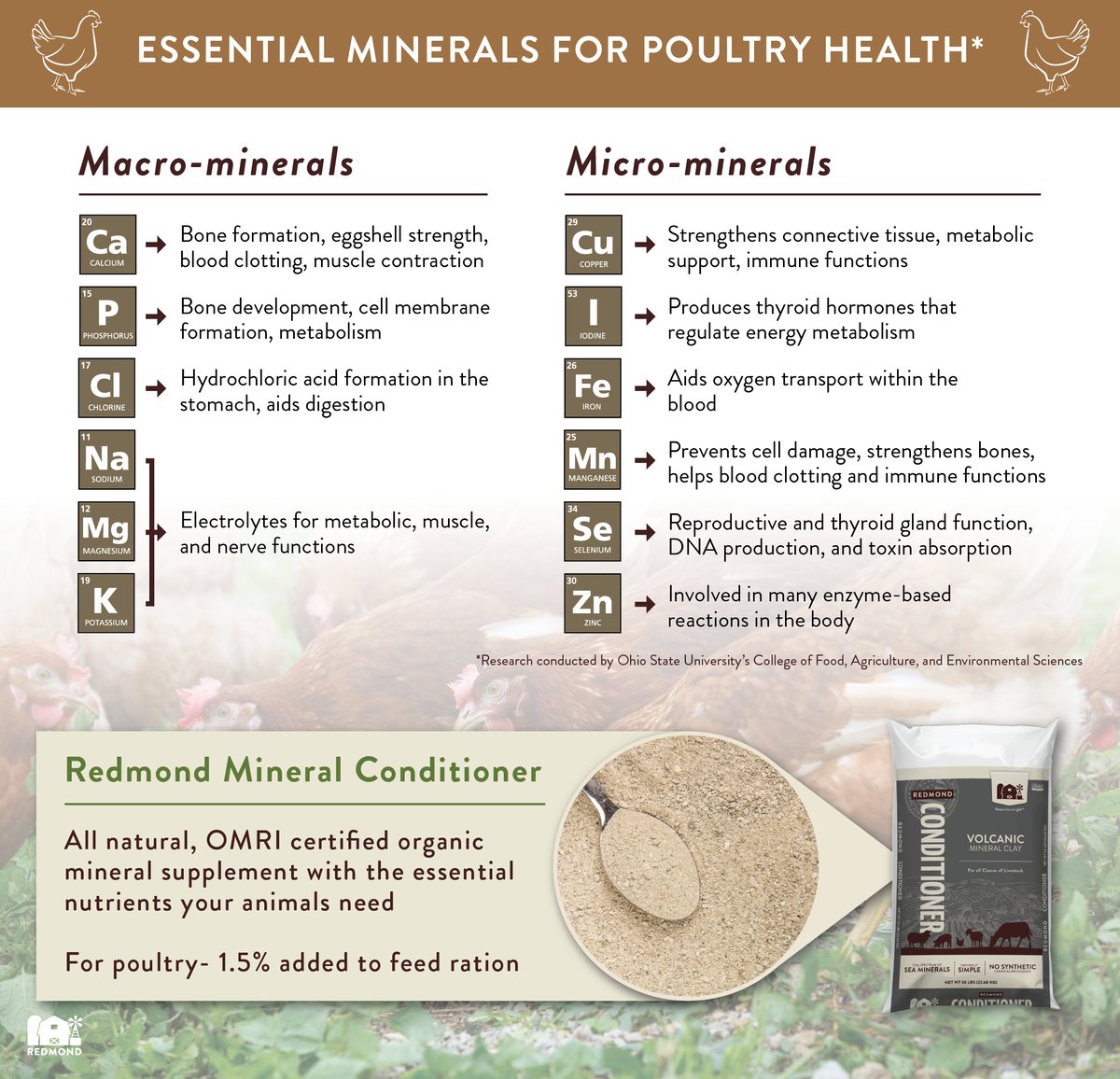 Essential minerals for chickens
