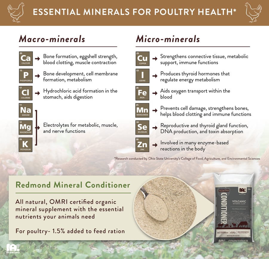 Minerals for chickens