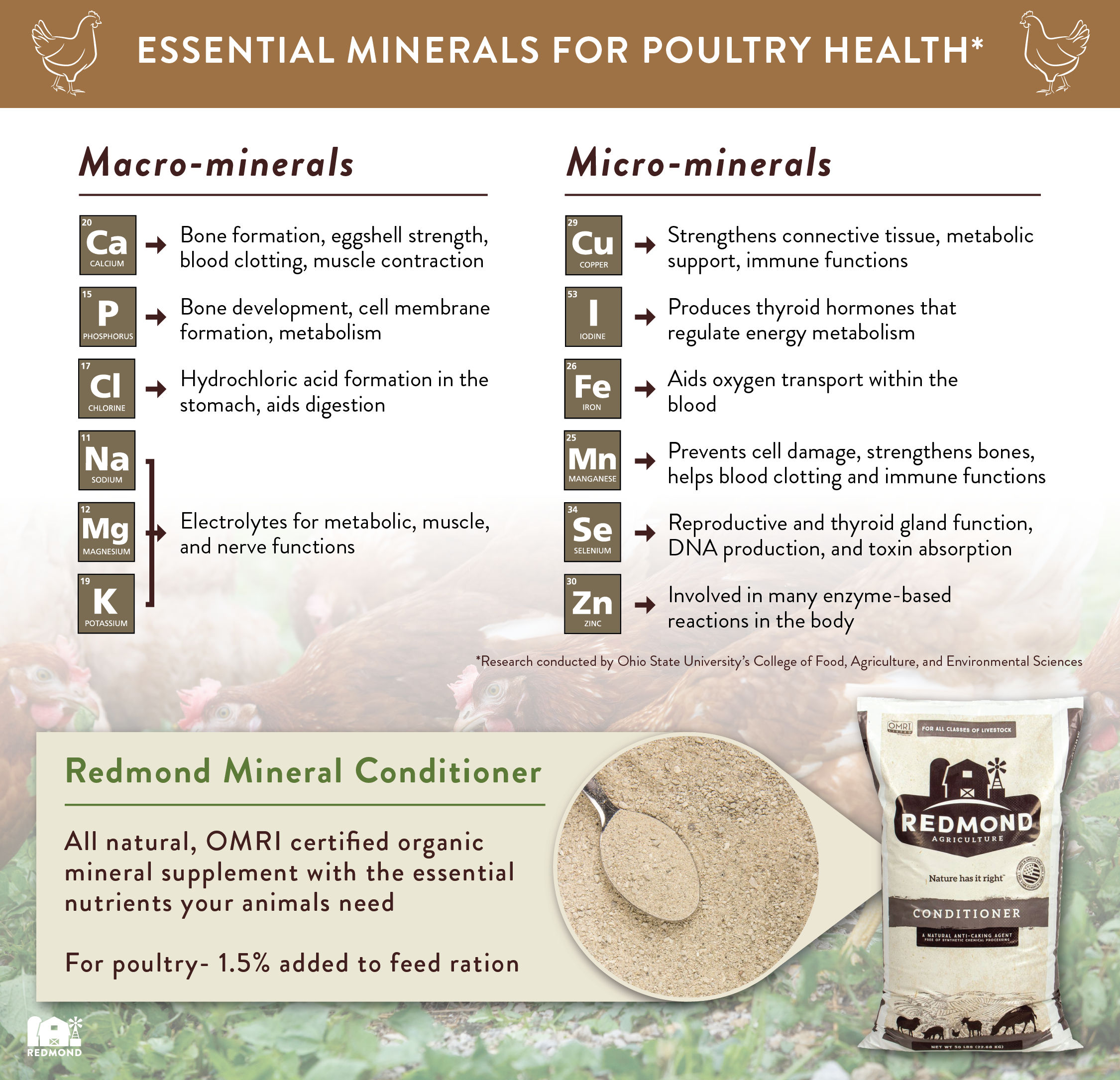 Essential minerals for poultry health
