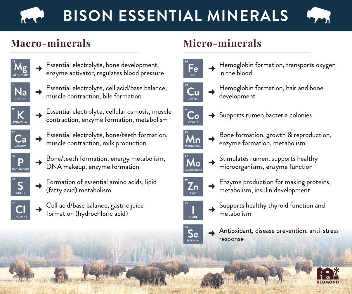 what minerals do bison need