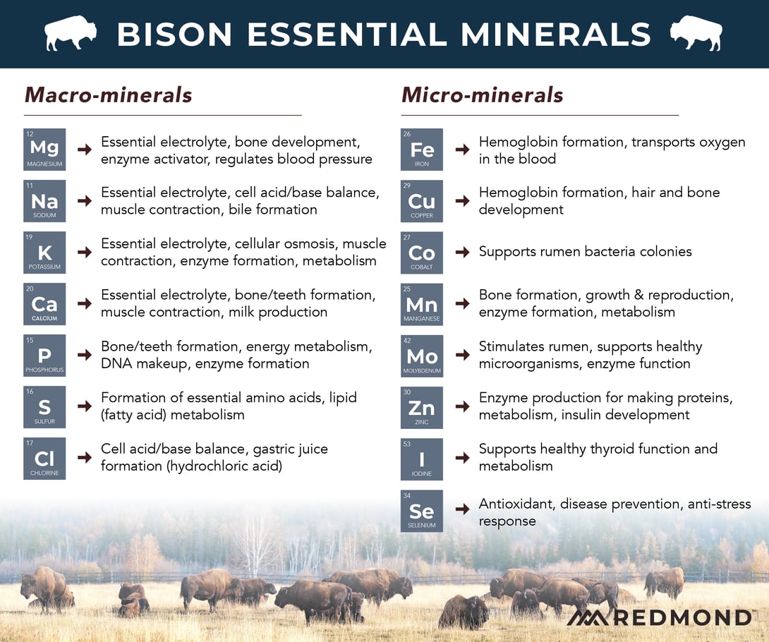 Bison Minerals-01-2