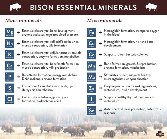 What minerals do bison need?