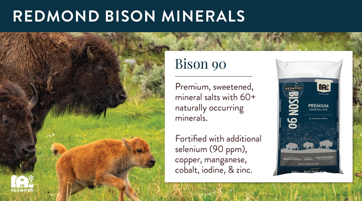 Redmond Bison Minerals