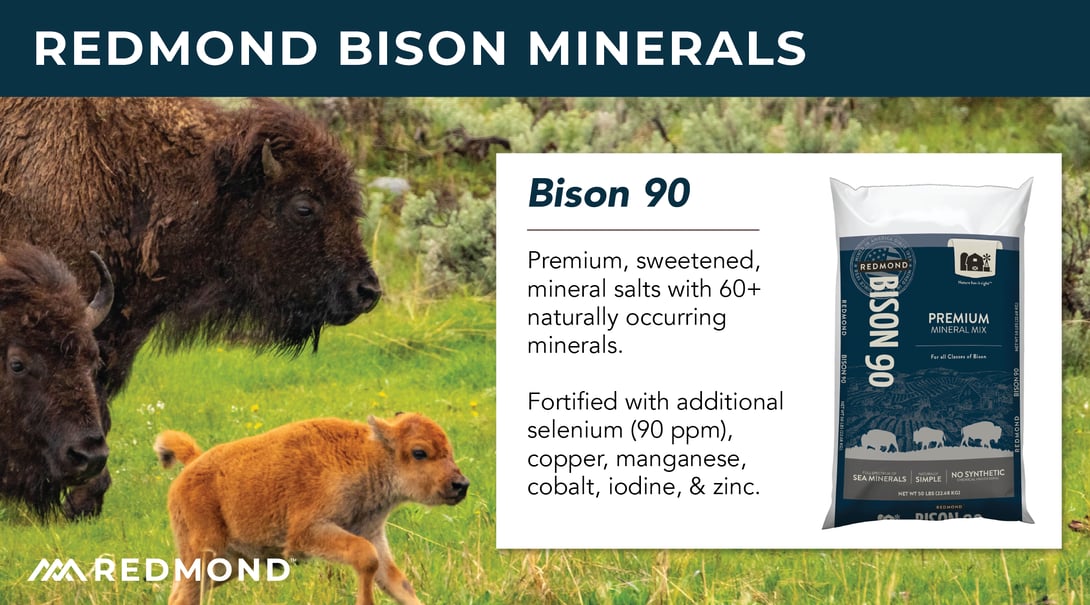 Bison Minerals-02-3