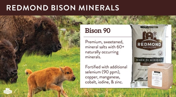 Redmond bison minerals
