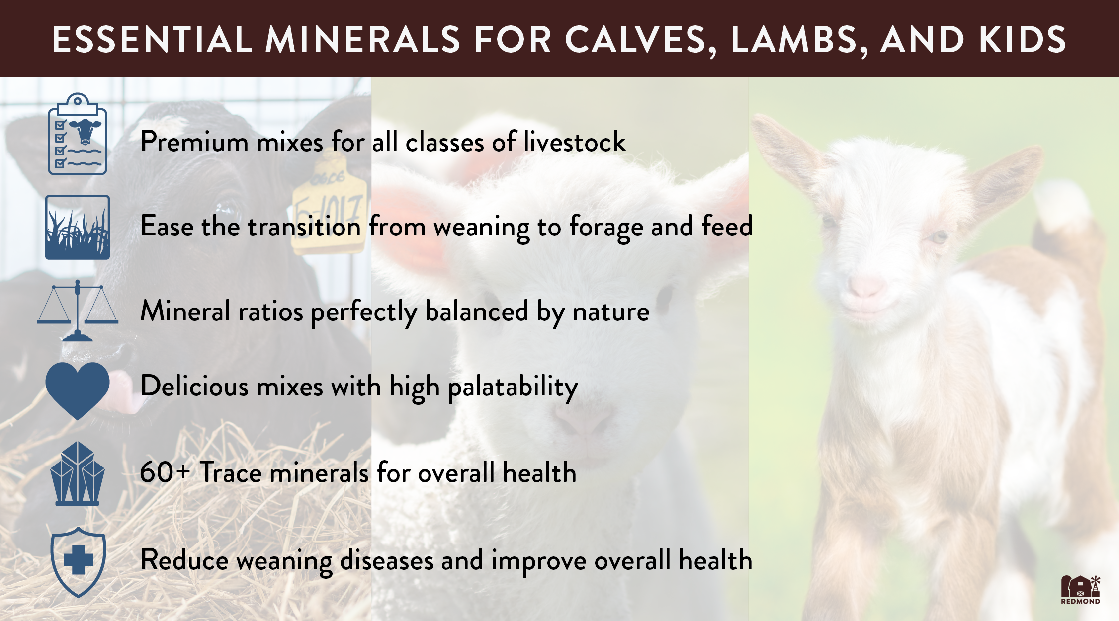 Essential minerals for calves, lambs, and goat kids