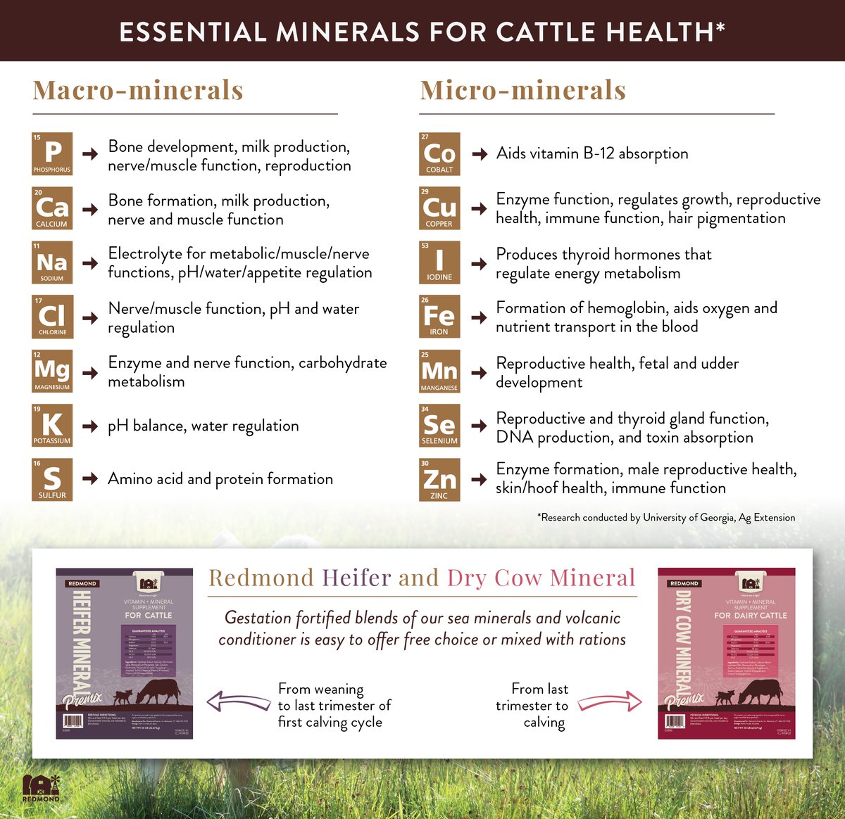 Minerals for pregnant cows