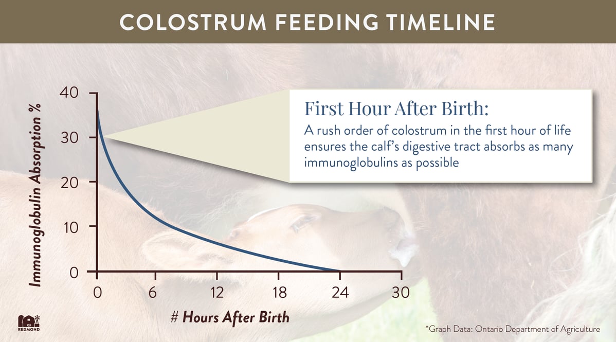 Colostrum-02-1