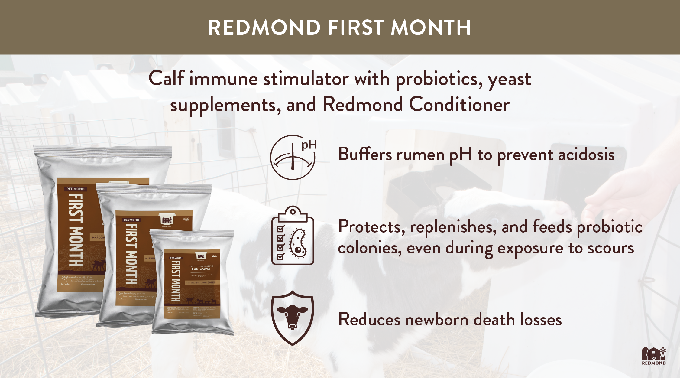 Calf immune stimulator