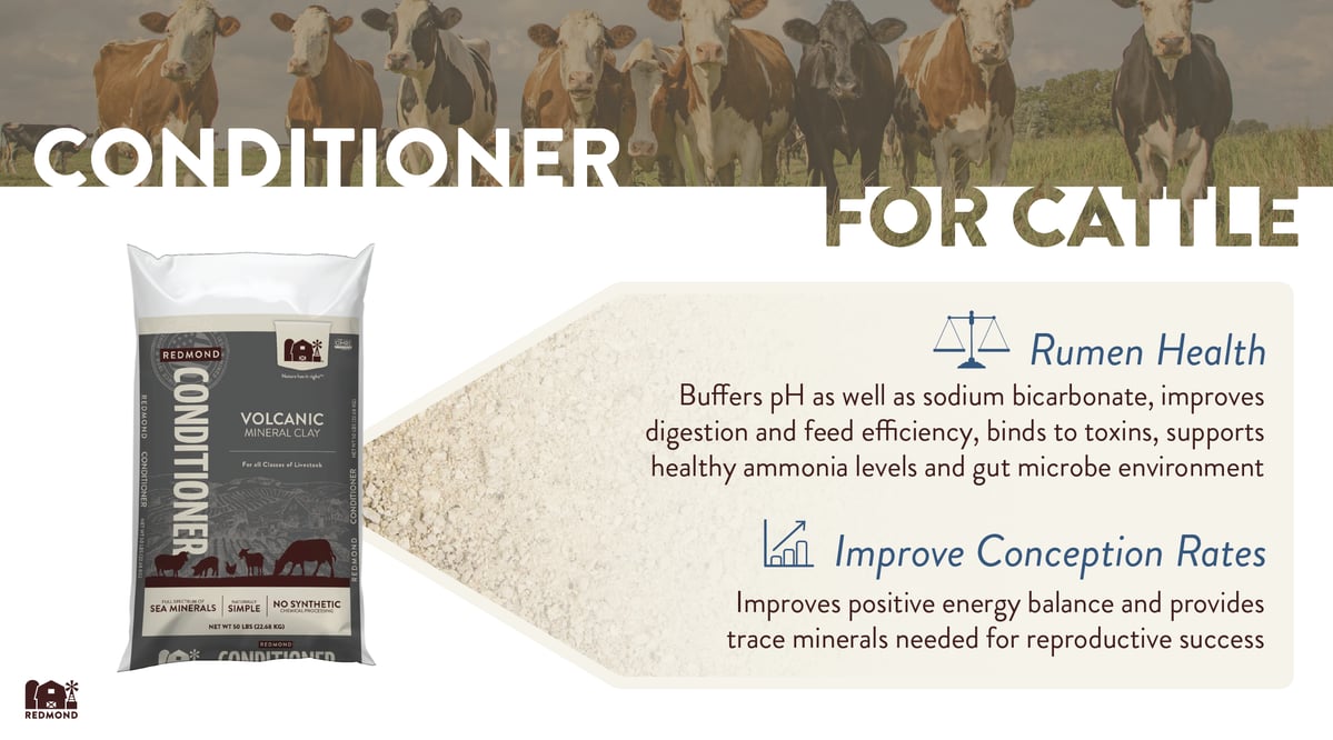 Bentonite clay benefits for cattle
