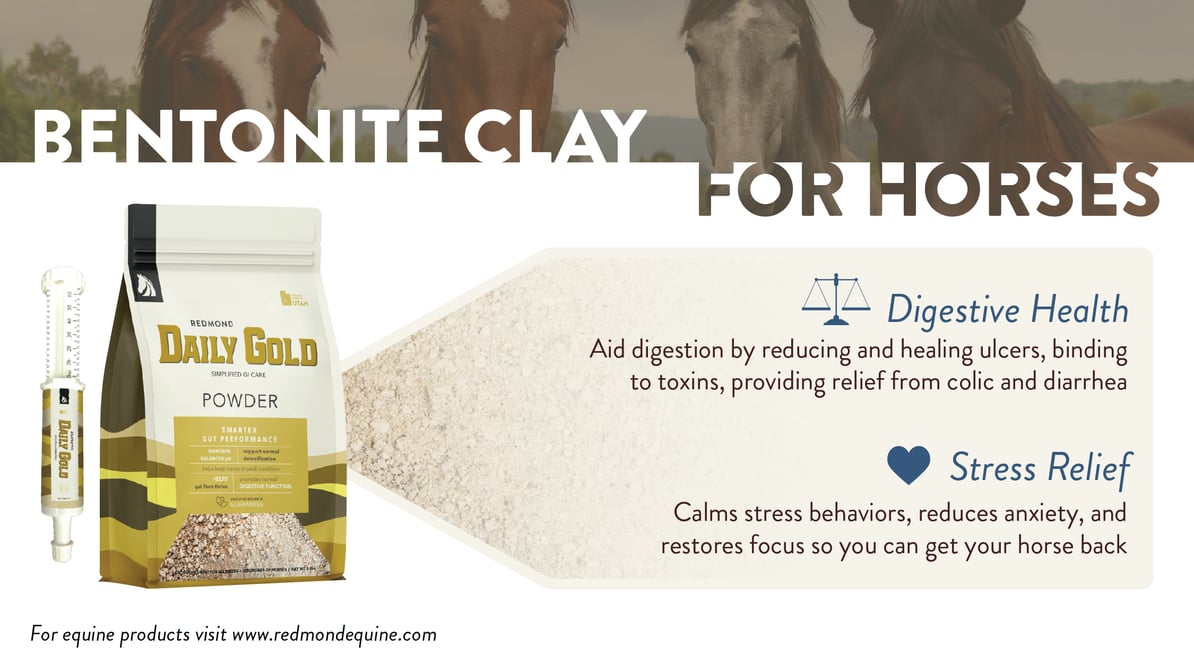 Bentonite clay benefits for horses
