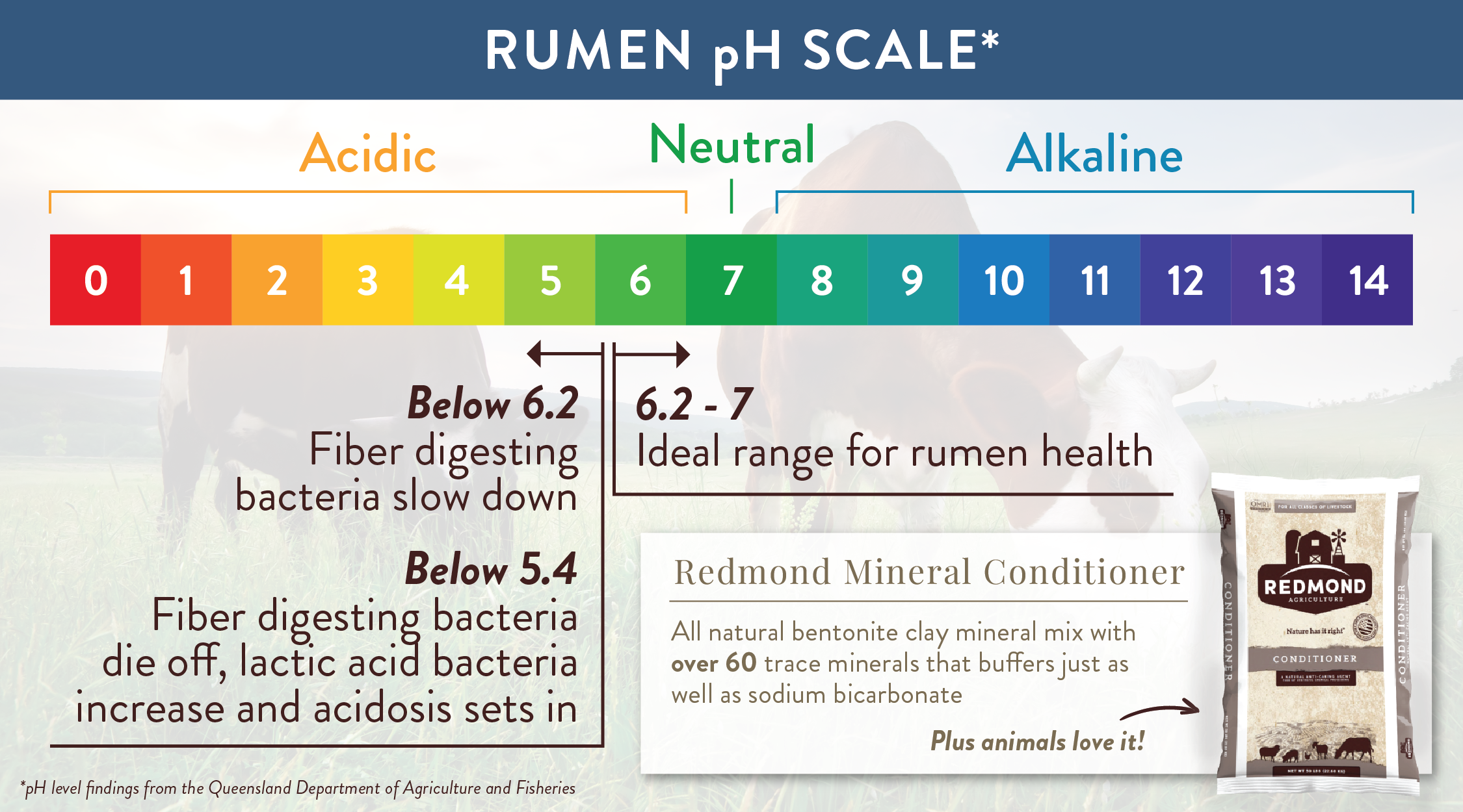 Rumen pH Scale
