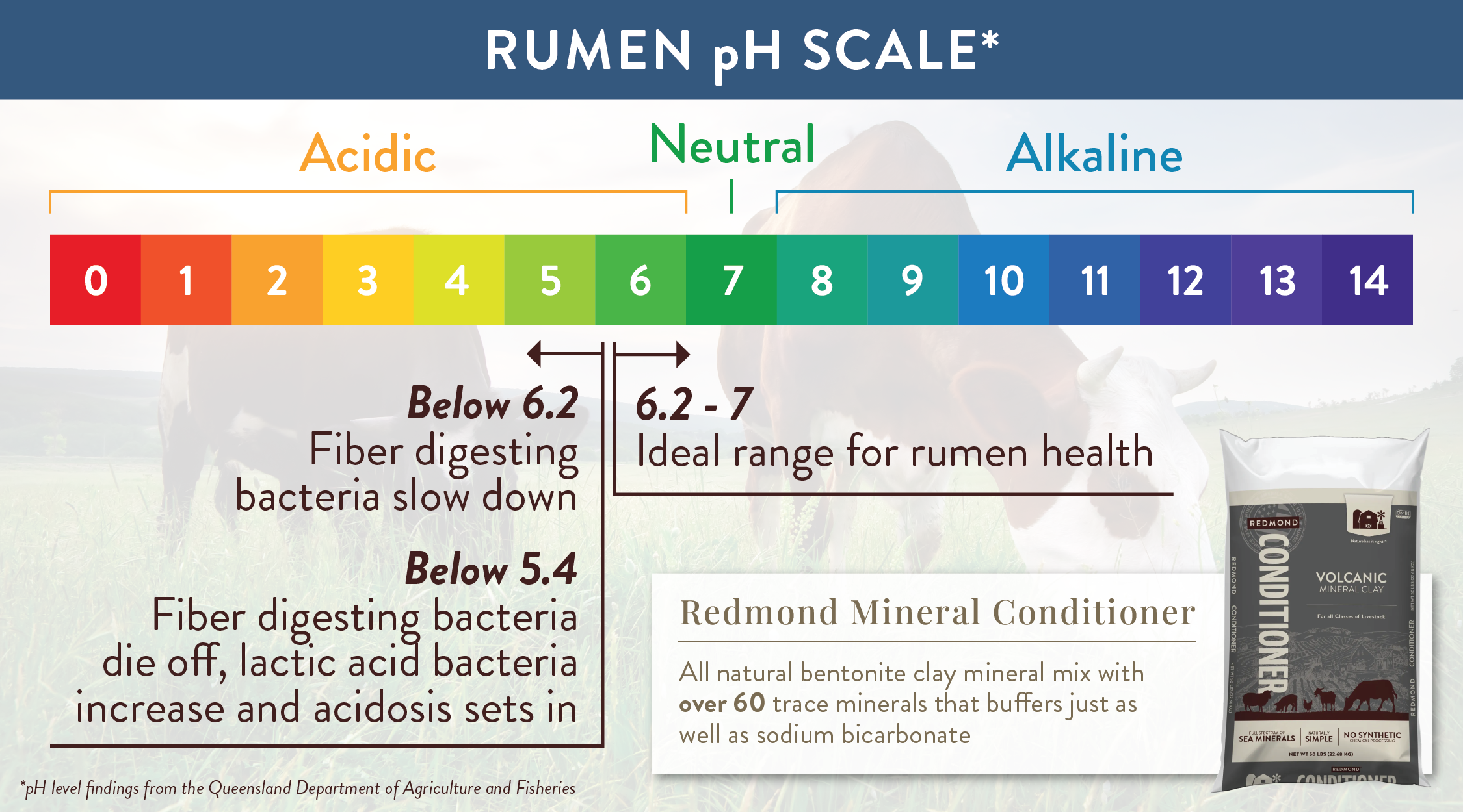 Rumen pH Scale