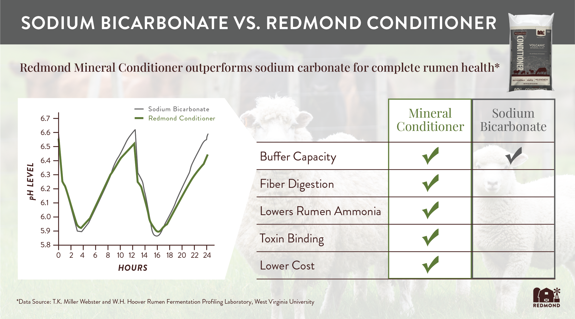 Sodium bentonite vs sodium bicarbonate rumen buffer