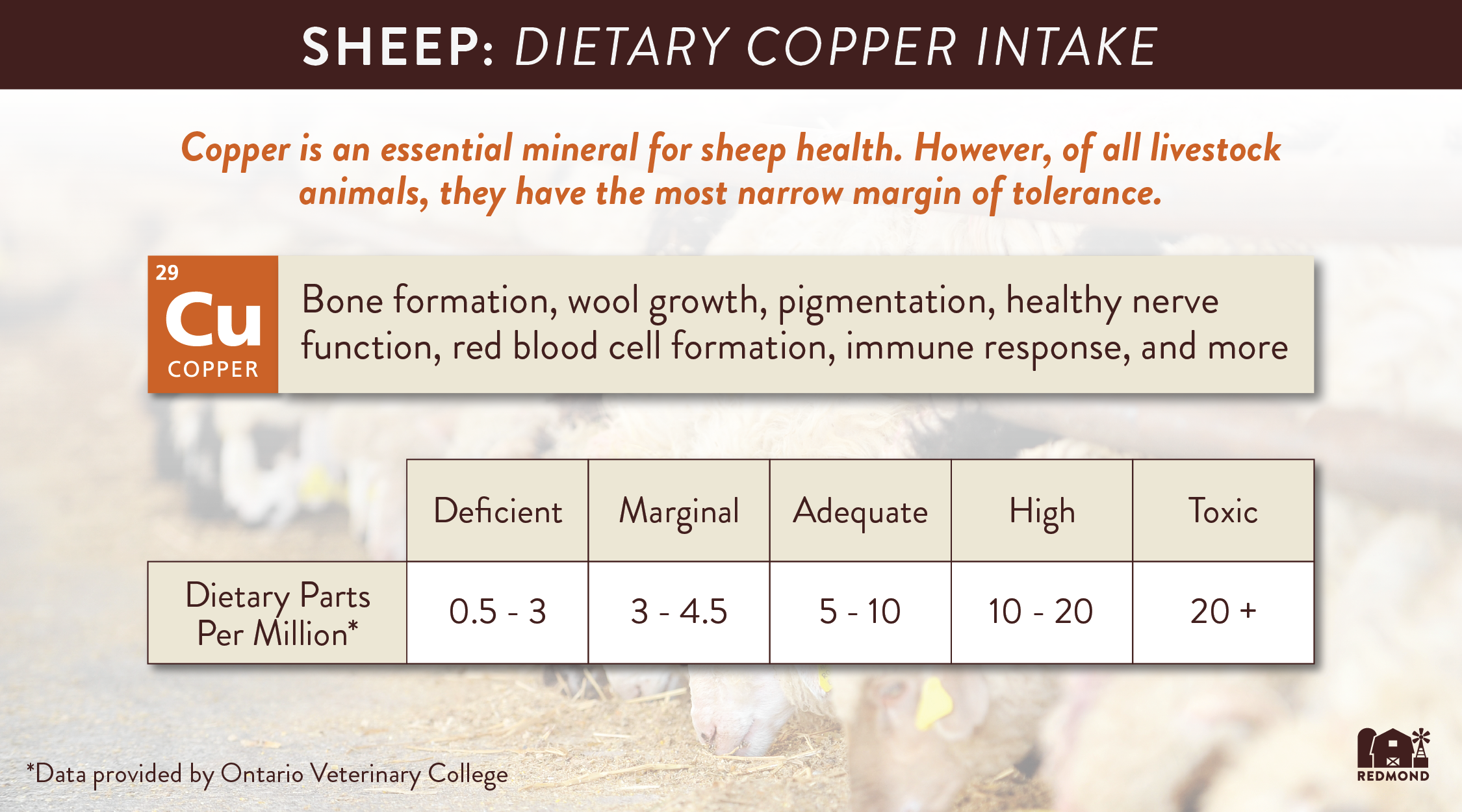 Copper Toxicity and Sheep
