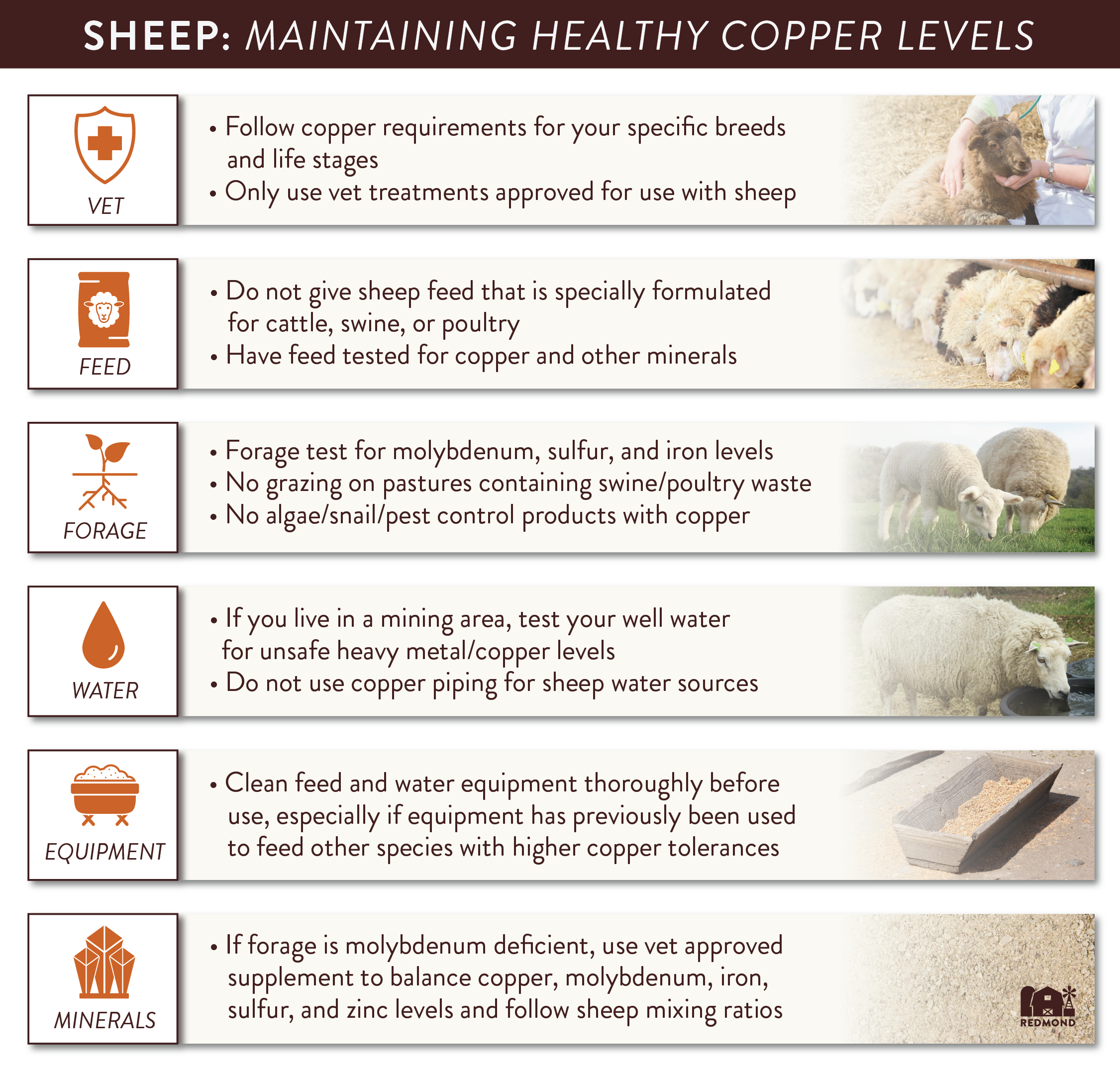 How to prevent copper toxicity in sheep