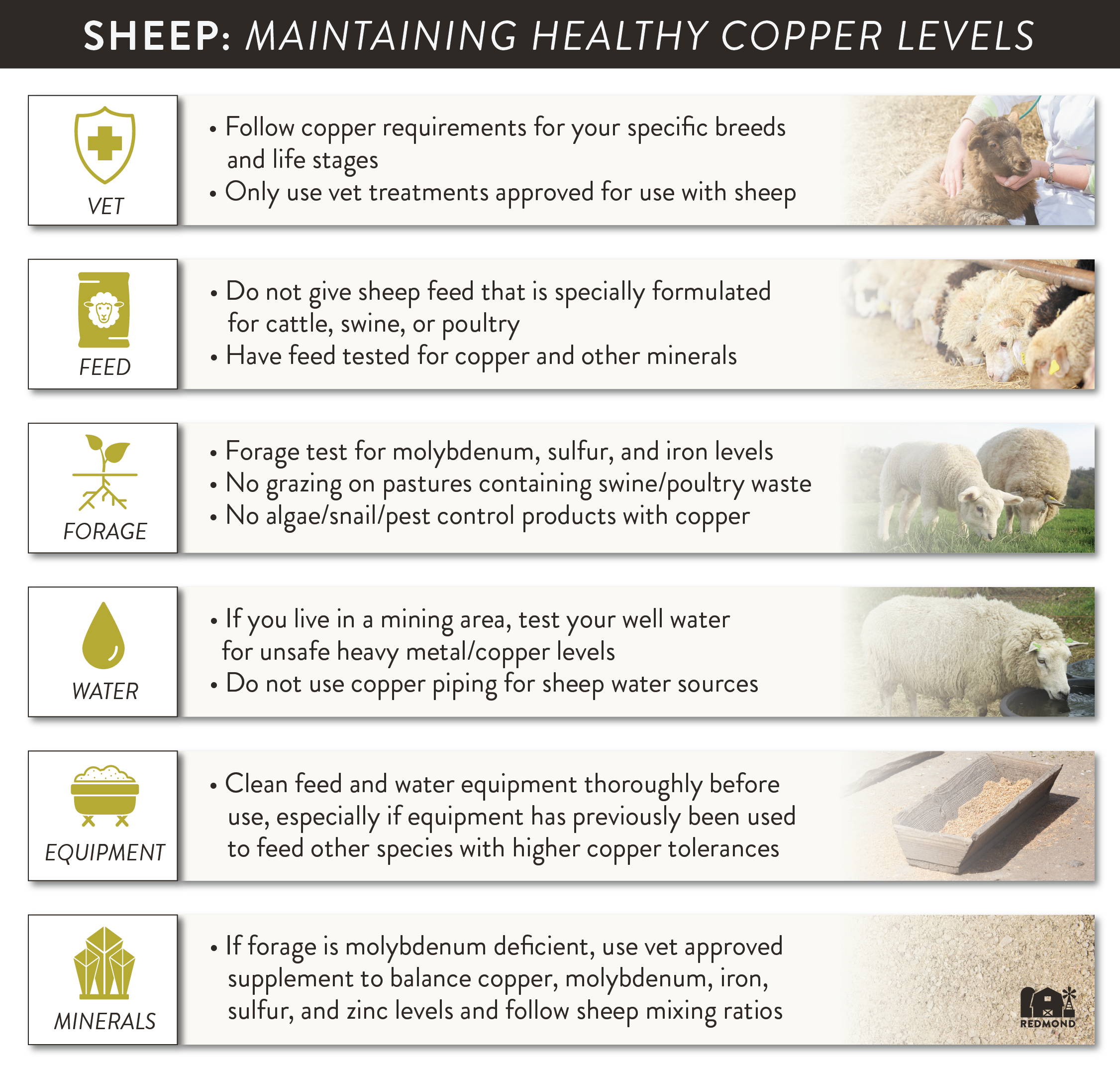 Maintaining safe copper levels in sheep