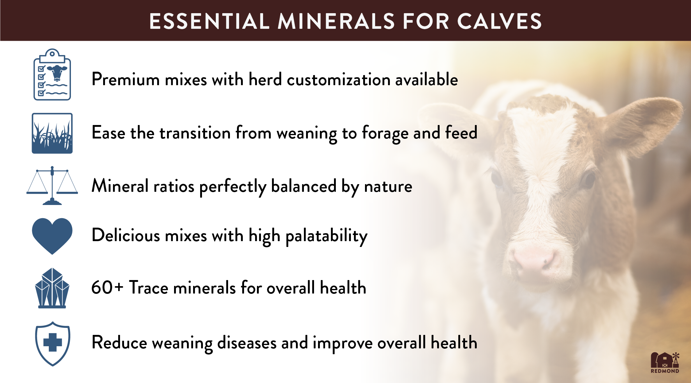 Essential minerals for calves