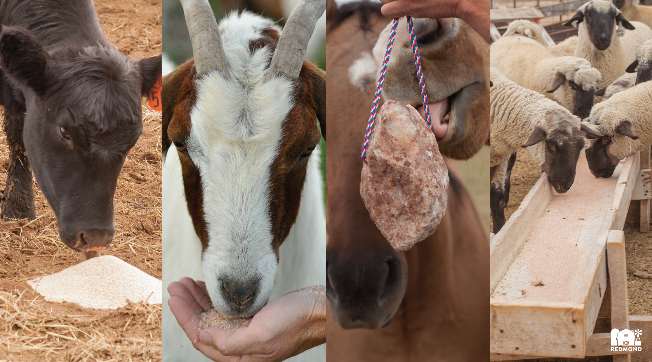 Livestock minerals for all species