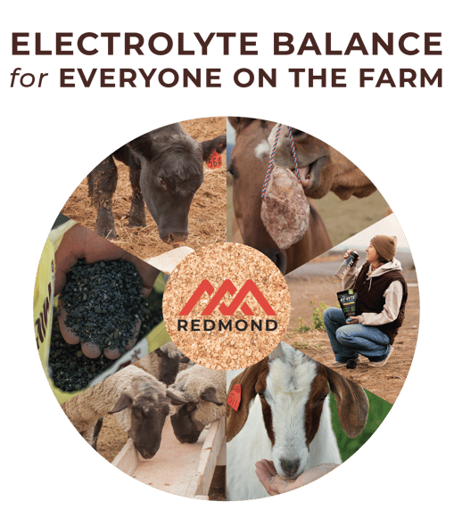 Drought Proof Your Farm-06