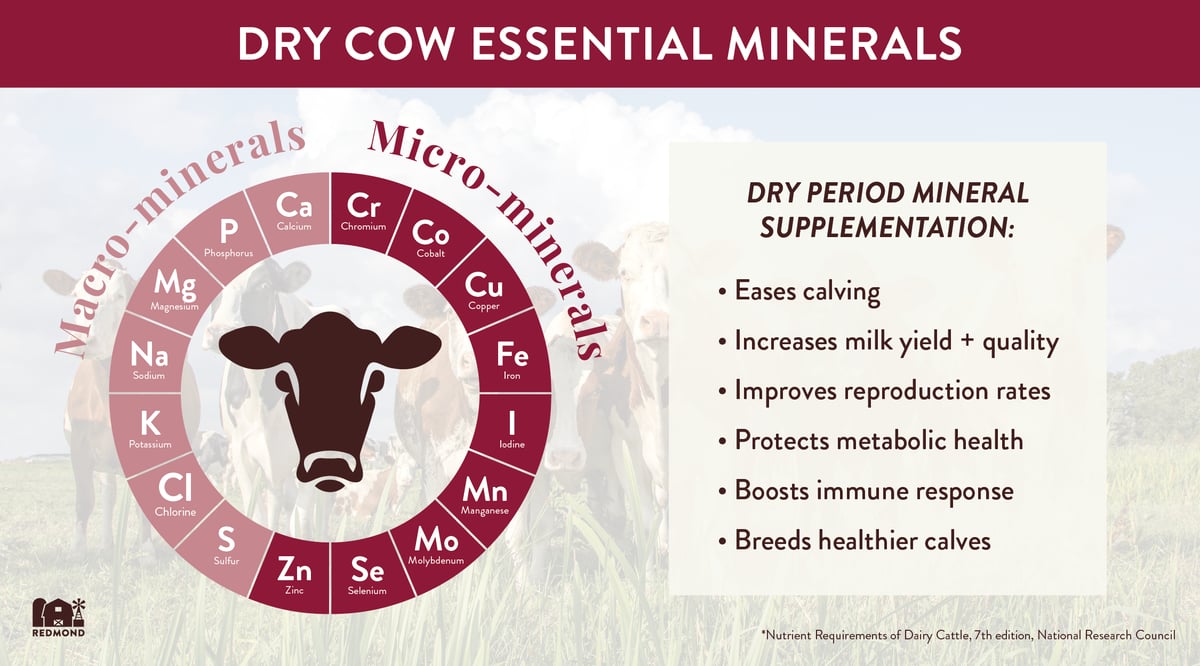 Essential Dry Cow Minerals