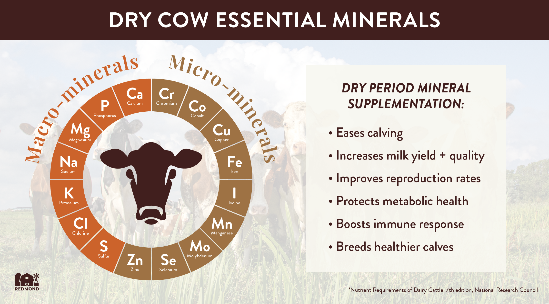 Dry Cow Minerals-02