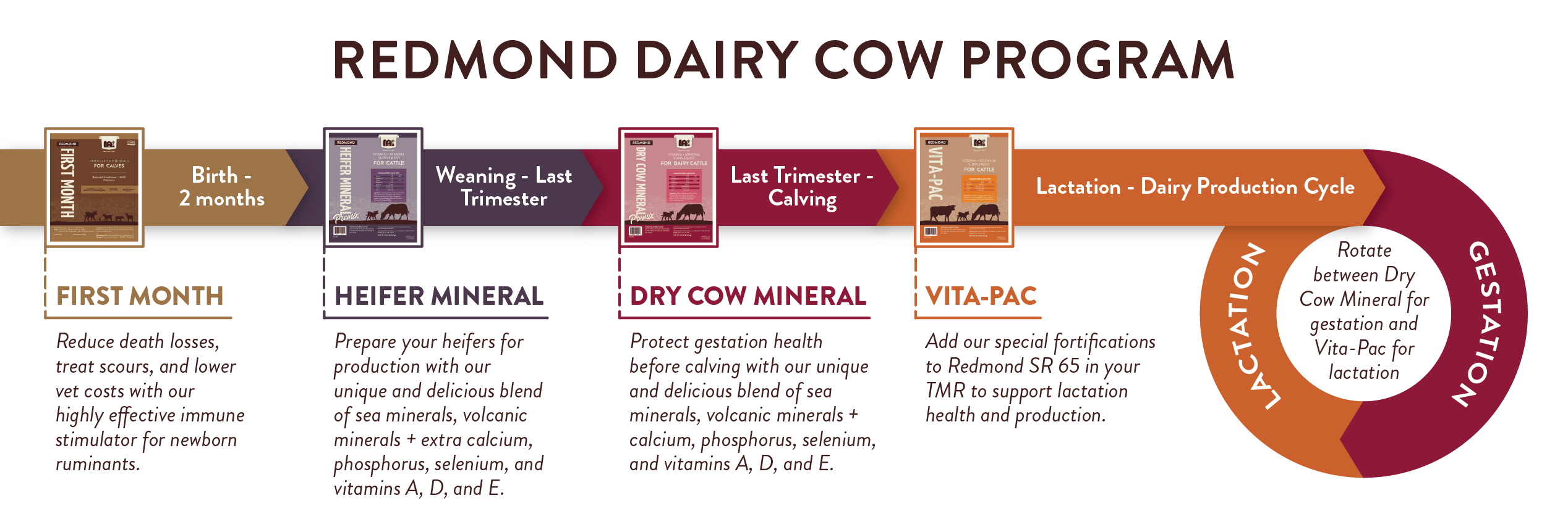 Redmond Dairy Cow Program