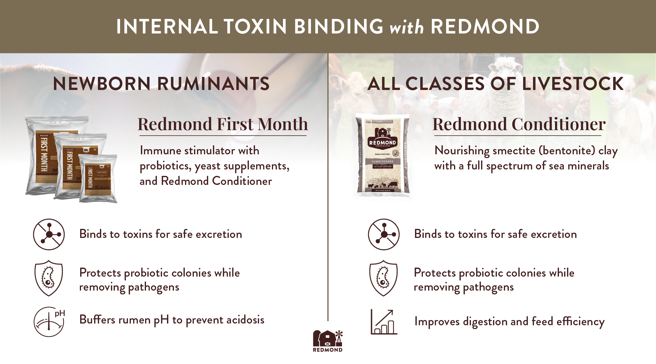 Internal toxin binding