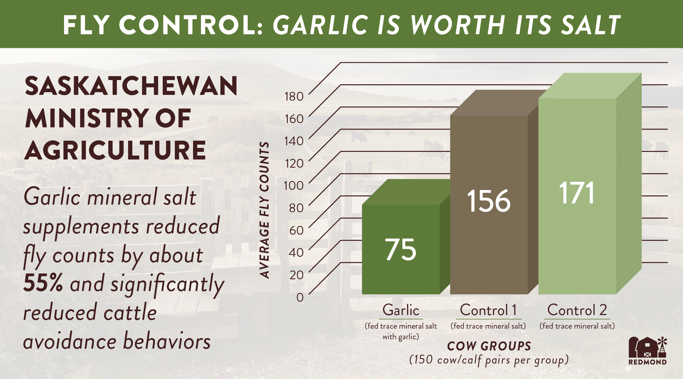 Garlic natural fly control