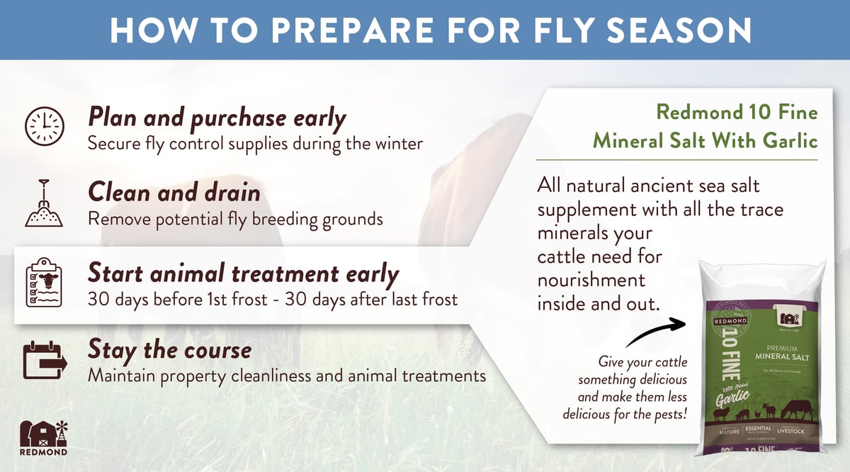 how to prepare for fly season