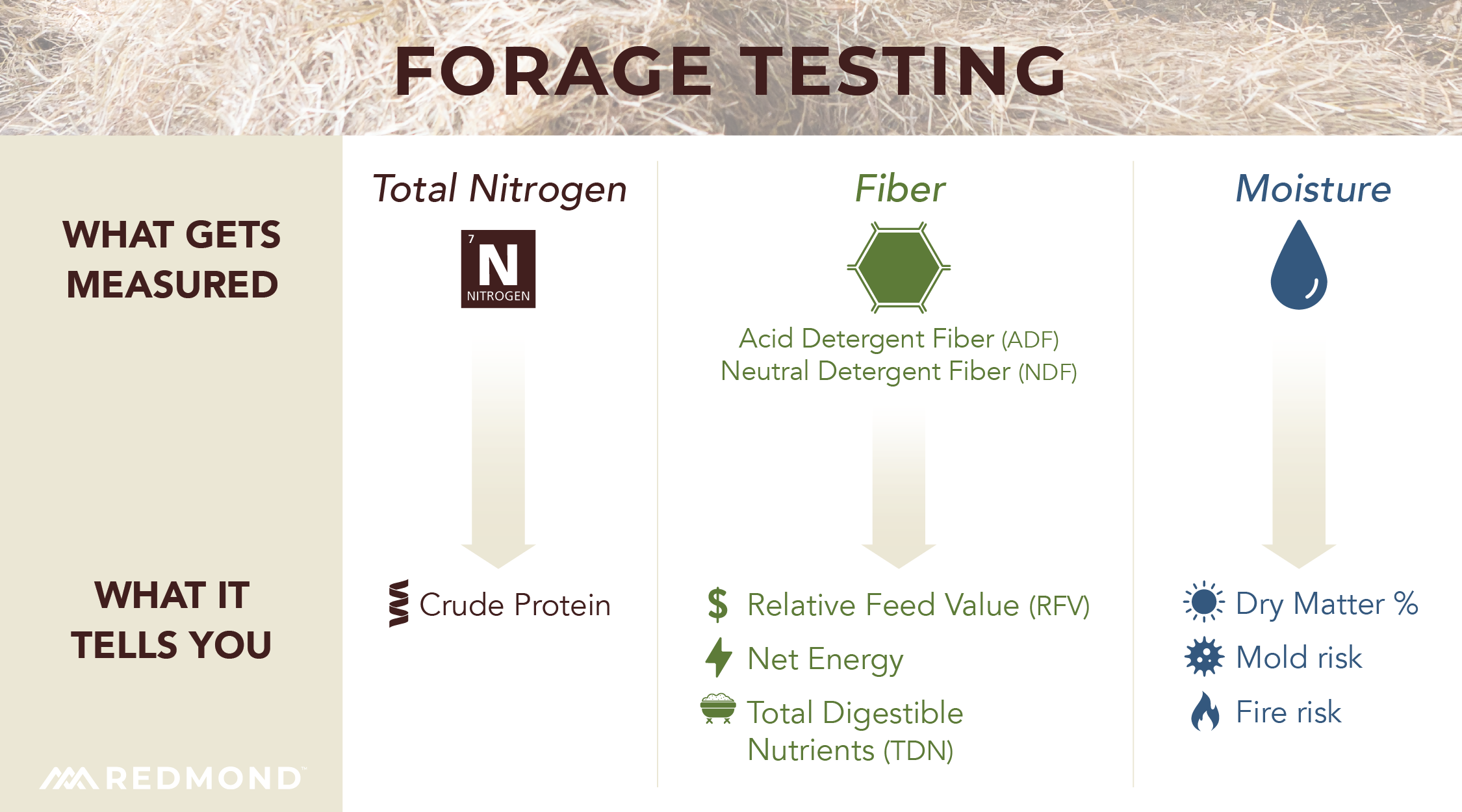 How to understand your forage test results