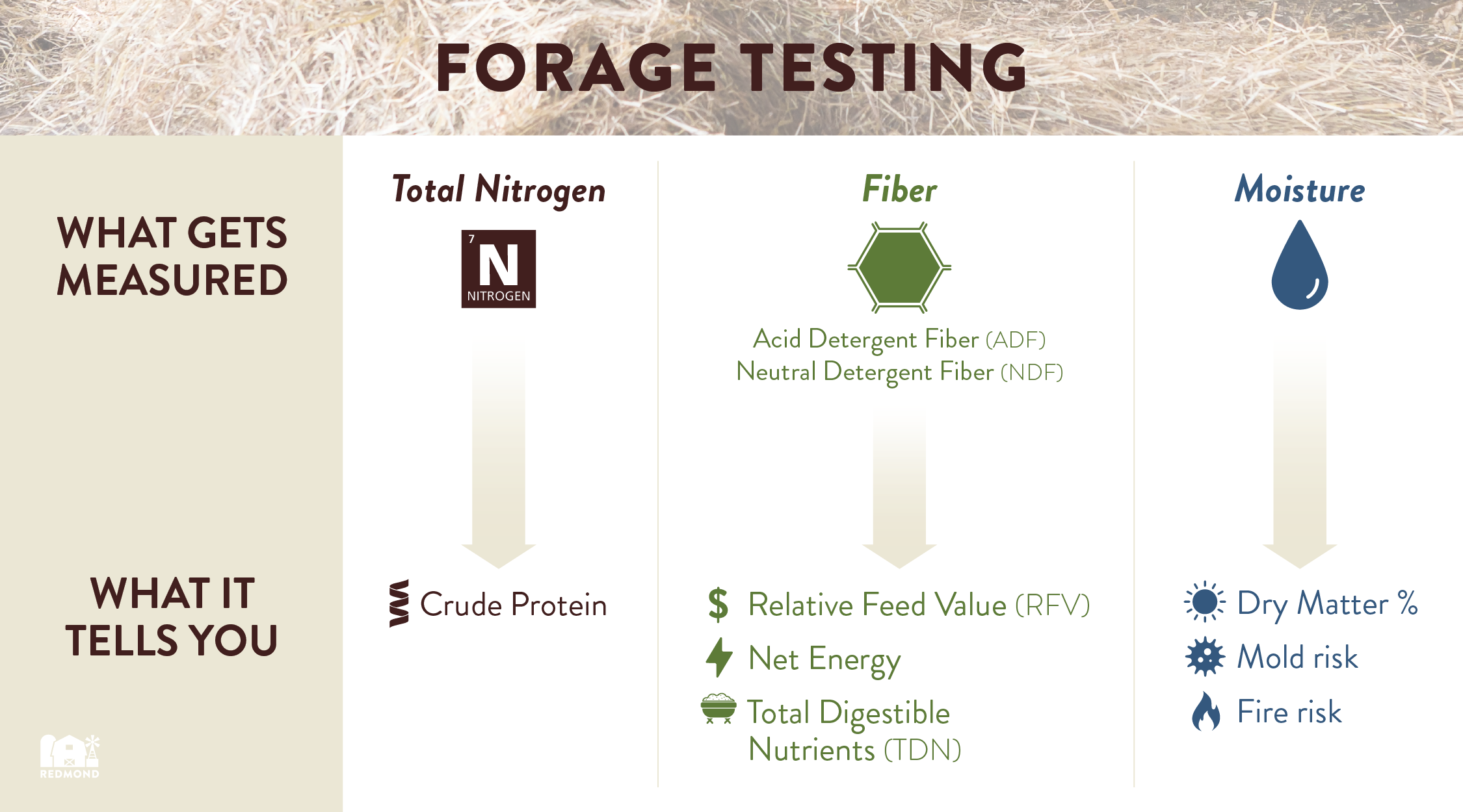 Understanding forage testing results