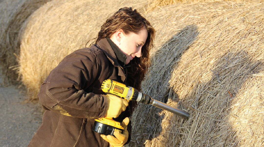 Farmer takes a hay bale sample to test forage quality