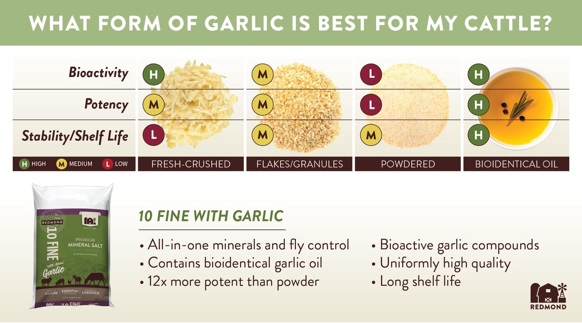 Garlic for natural fly control