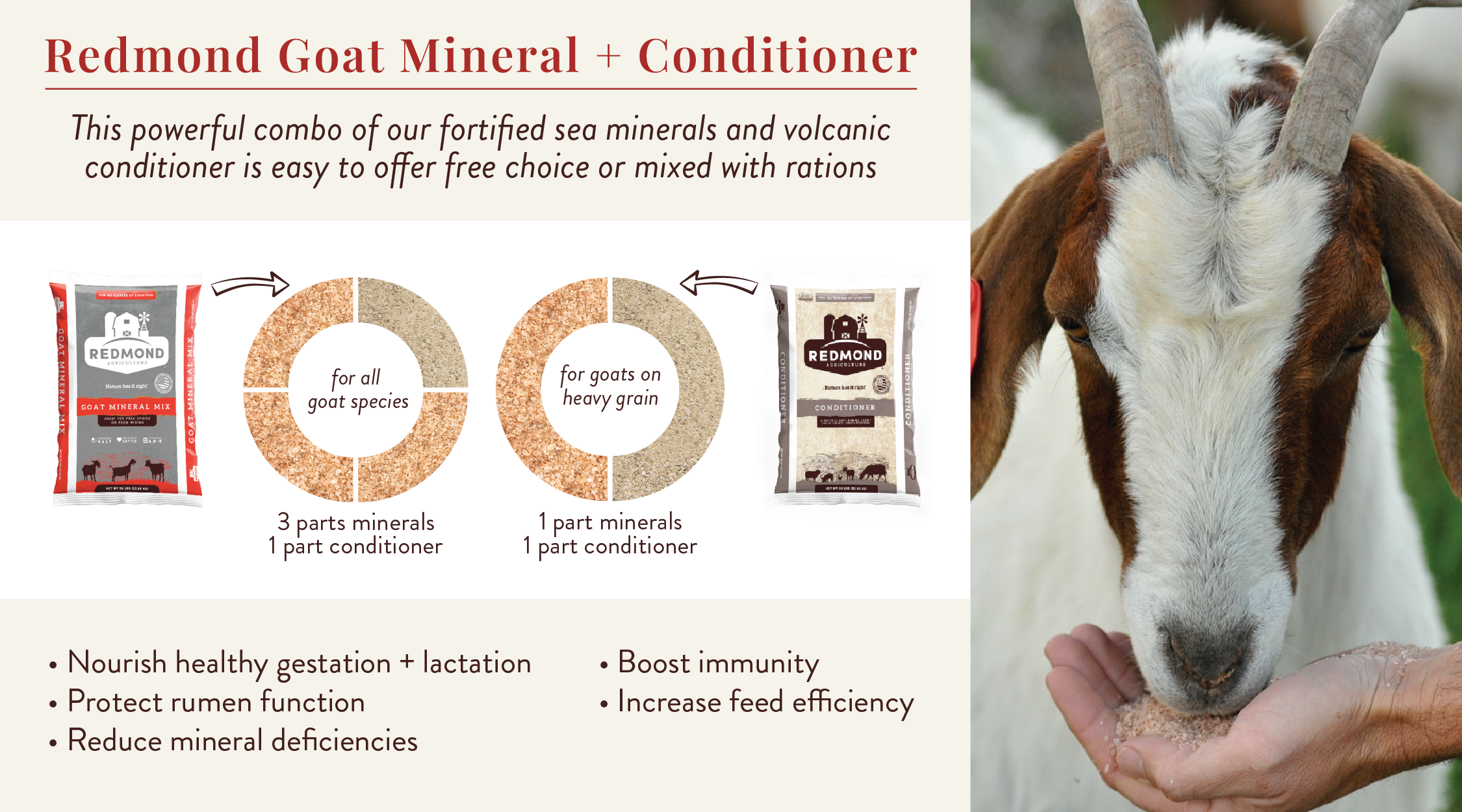 Minerals for Goat Gestation and Kid Health