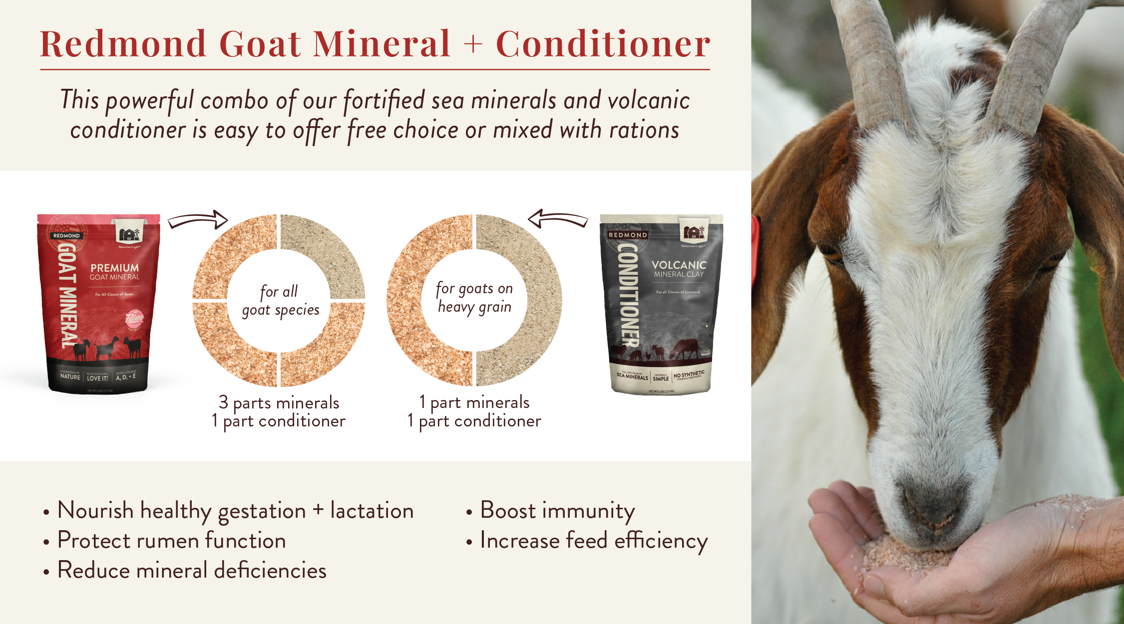Redmond goat mineral program