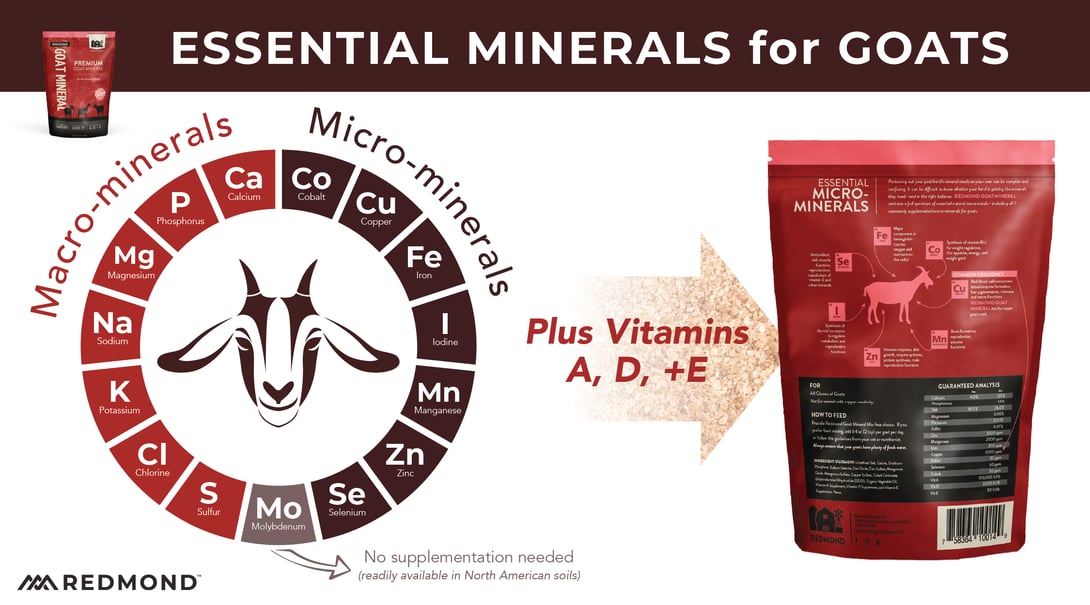 What minerals do gaots need