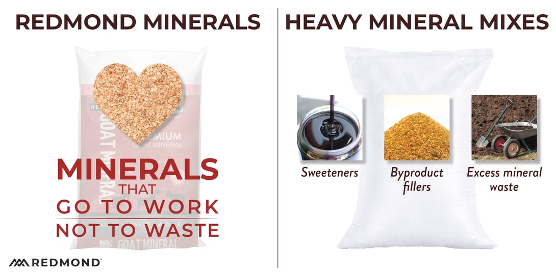 Best minerals for goats