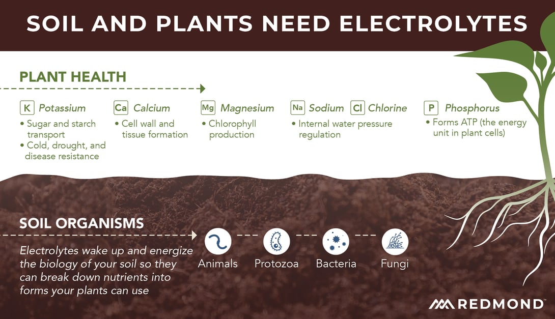 Electrolytes for soil and plants