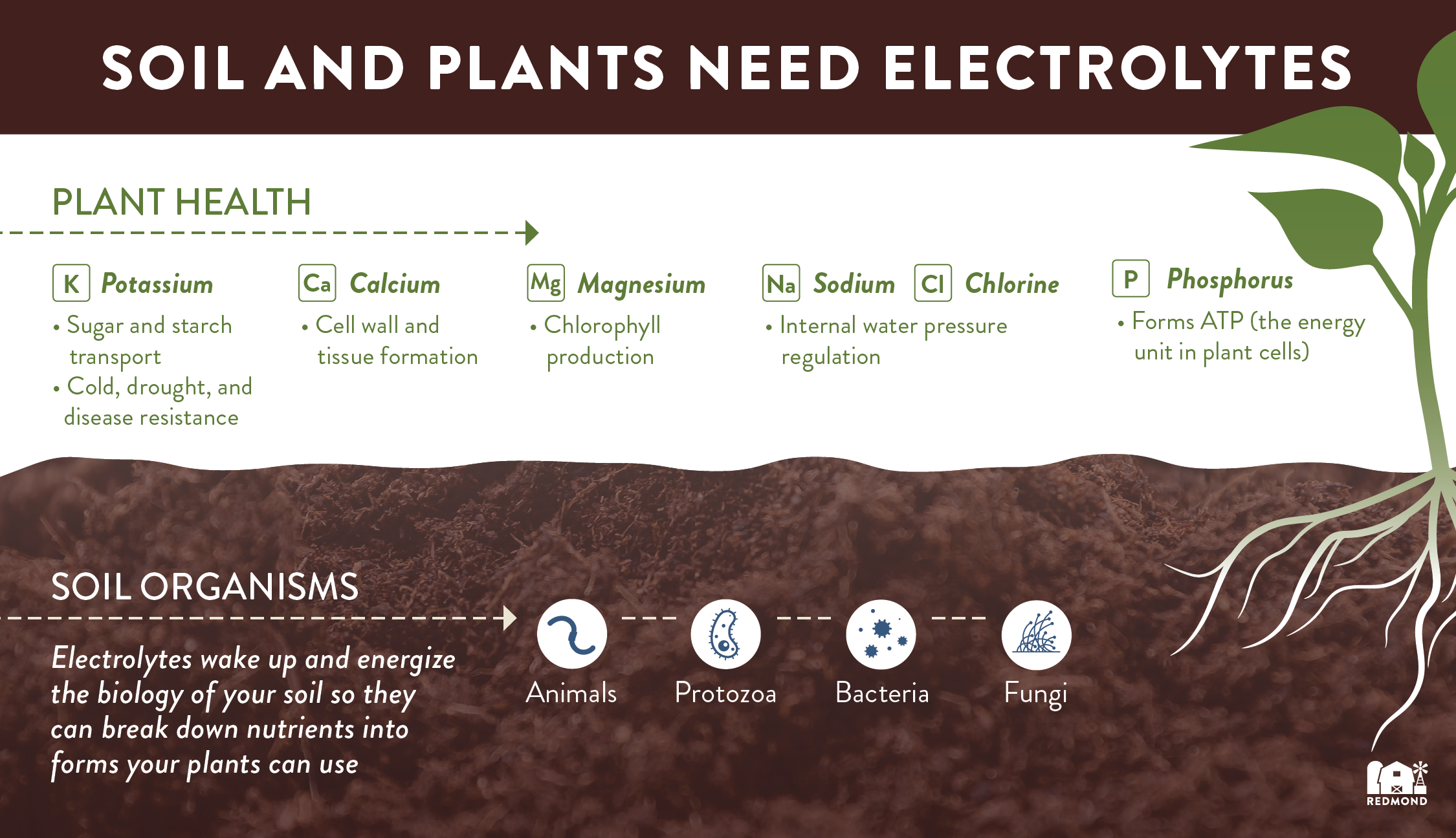 Soil and plants need electrolytes