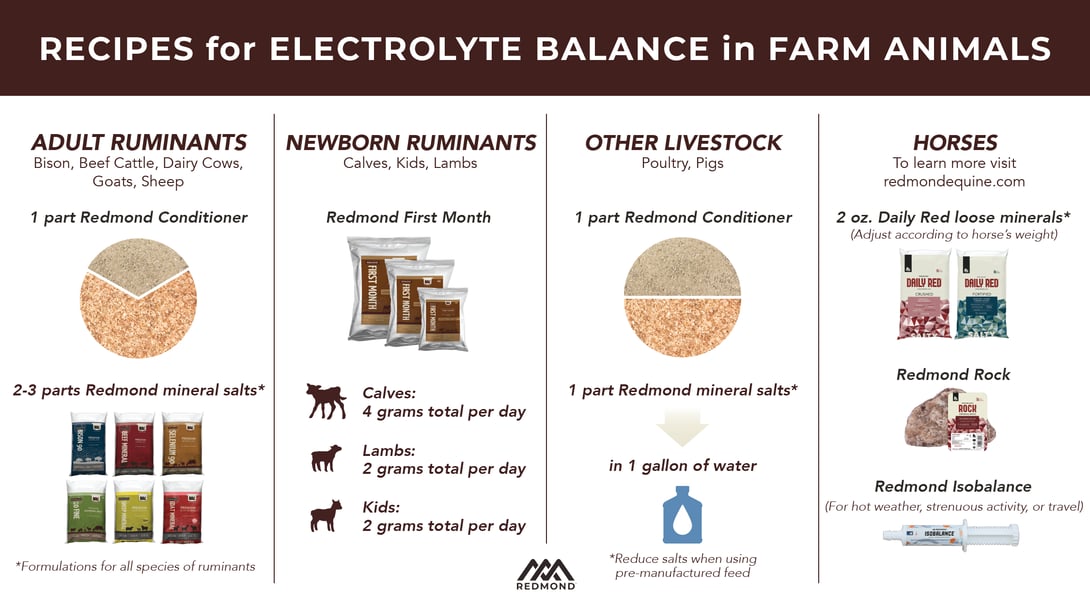 Redmond recipes for electrolyte balance in farm animals