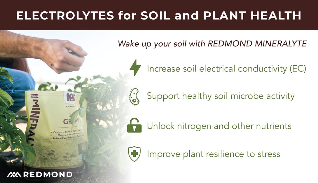 Redmond Mineralyte electrolytes for soil and plant health