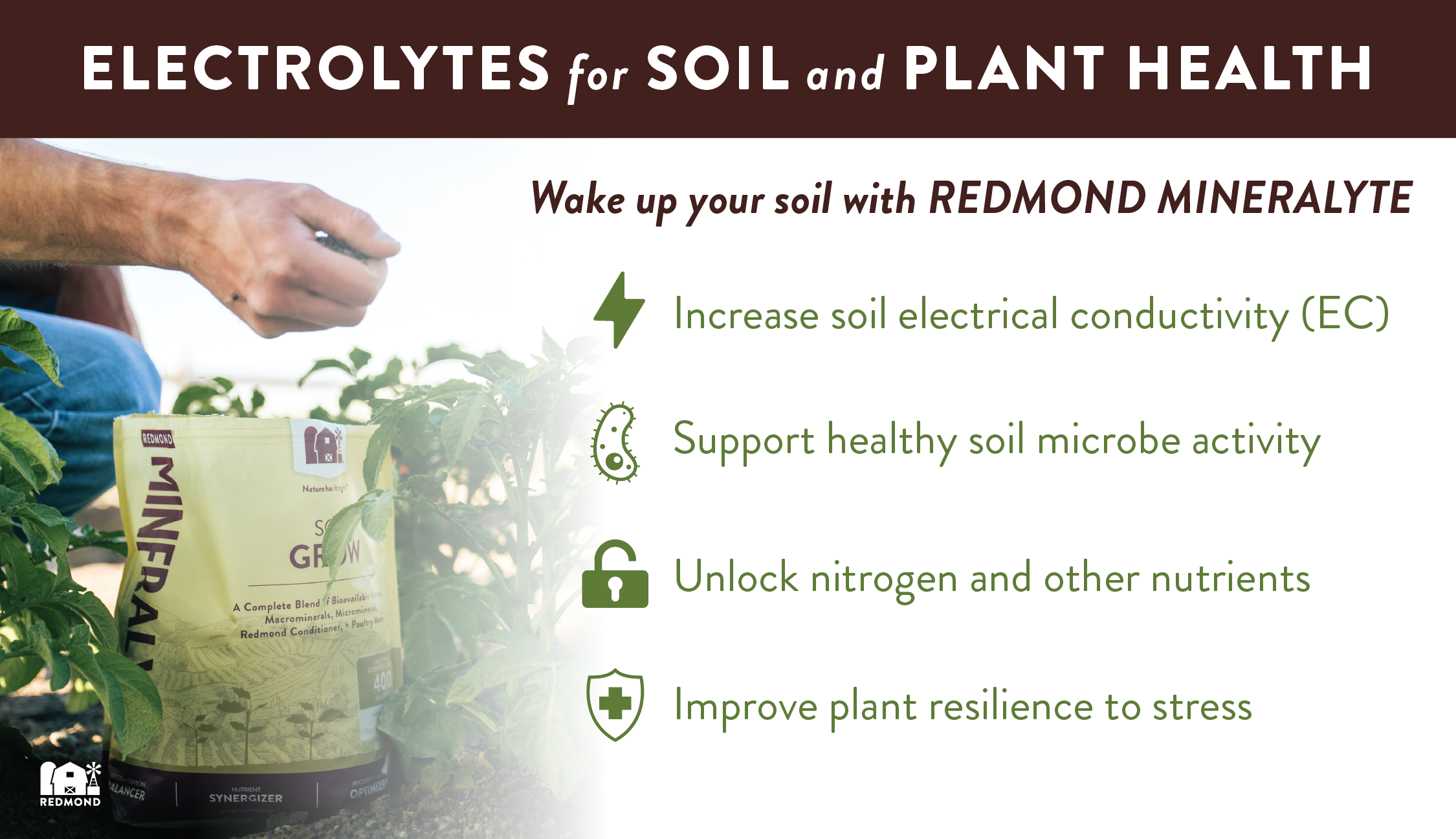 Electrolytes for soil and plant health