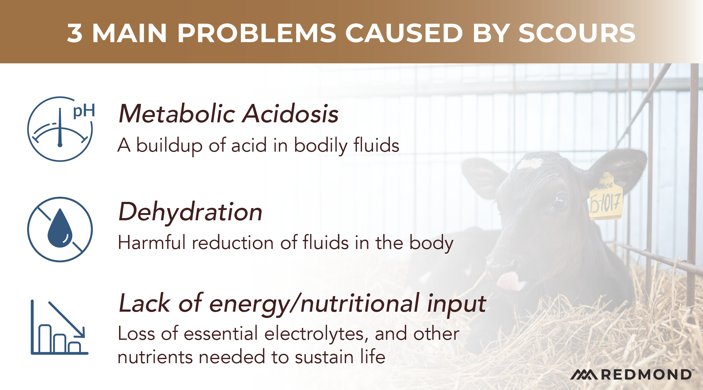 Problems caused by scours