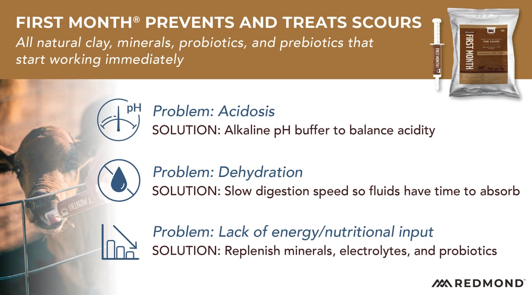 Naturally prevent and Treat Scours in calves